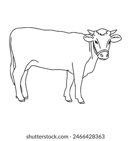 Vector lineal retrato de una vaca en un fondo blanco. Vaca dibujada en estilo de dibujos animados.