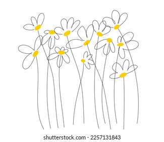 Vector linear hand drawing with daisies. Yellow centers with transparent petals. Abstract simple floral background for postcards, congratulations, invitations. Delicate summer spring edge