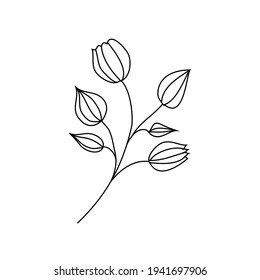 Vector linear hand drawn decorative flower, black and white botanical isolated illustration