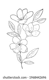 Vector linear hand drawn decorative flower and leaves, black and white botanical isolated illustration