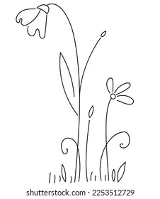 Vector linear hand drawn flower bush. Beautiful floral background for postcards, congratulations, invitations. Gentle, spring meadow.