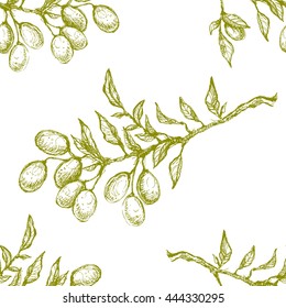 Vector linear hand drawn pattern of the green olive branch sketch on the white paper background. 
