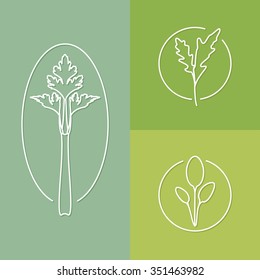 vector linear herbs icon and badges design - kitchen herbs concepts - trendy style