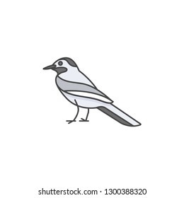 Vector linear icon design wagtail bird on white background. Wagtail colorful emblems or badges