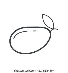 Vector linear icon with mango