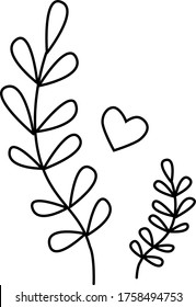 Vector linear icon, twigs with leaves and heart isolated on white background