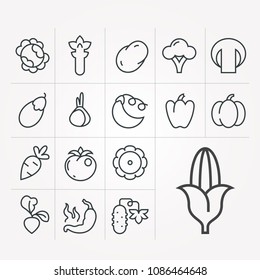 Vector linear icons of vegetables