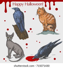 Vector linear illustration of the angry cat, black raven, bird on the tree, blood stains,text Happy Halloween on the grey background. Hand drawn sketch of the set with Halloween objects.