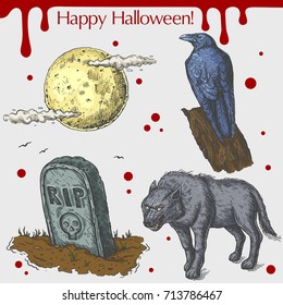 Vector linear illustration of the angry wolf, black raven, night full moon, headstone,blood stains,text Happy Halloween on the grey background. Hand drawn sketch of the set with Halloween objects