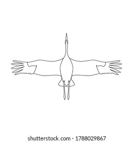 vector linear illustration, bird crane flying on a sky, bottom view.