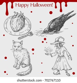 Vector linear illustration of the black raven, angry cat, wicked witch, heart on the plate,blood stains,text Happy Halloween on the grey background. Hand drawn sketch of the set with Halloween objects