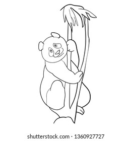 Vector linear illustration, black and white illustration, panda bear.