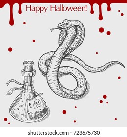 Vector linear illustration of the bottle with poison, snake, blood stains,text Happy Halloween on the grey background. Hand drawn sketch of the set with Halloween objects.