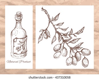 Vector linear illustration of the cards with olive branch, glass bottle of the olive oil and text Traditional Greek Products on the textured old paper background.Vector hand drawn sketch for menu,cafe