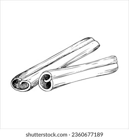 Vector Linear illustration of cinnamon sticks. Spices and seasonings for food