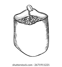 Vector Ilustración lineal de la plántula de café en una olla. Ilustración vectorial dibujada a mano