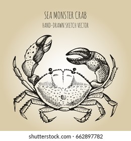 Vector linear illustration of crab on summer beach isolated on paper background. Hand drawn sketch vector