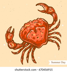 Vector linear illustration of crab on summer beach isolated on paper background with abstract texture. Hand drawn color sketch in retro style of the crab. Image in vintage style for design.