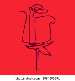 vector linear illustration of dainty elegant rose in pink colors. can be used for advertising, prints, logos, web design, for postcards for international women's day, mother's day, Valentine's day