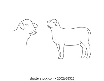 Vector linear illustration farm animal - sheep isolated in white background.