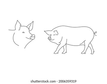 Vector linear illustration farm animal - pig isolated in white background