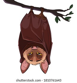 Vector linear illustration of the flying bat hanging upside down. Funny comic style cute outline bat doodle. Hand drawn sketch of sleepy bat isolated on white background.