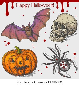 Ilustração linear vetorial do morcego voador, abóbora, aranha, crânio humano com manchas de sangue, texto Feliz Halloween no fundo cinza. Esboço desenhado à mão do conjunto com objetos de Halloween