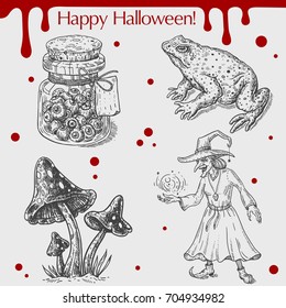 Vector linear illustration of the glass bank with eyes, frog, mushrooms, wicked witch, blood stains,text Happy Halloween on grey background. Hand drawn sketch of the set with Halloween objects.