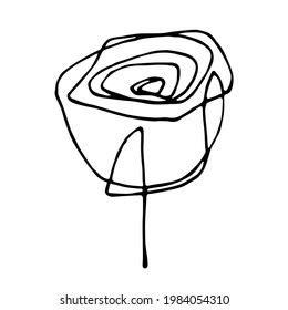 vector linear illustration of graceful elegant rose isolated on white background. can be used for advertising, prints, logos, web design, for postcards for women's day, mother's day, Valentine's day