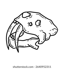 Vector linear illustration of a hand drawn sabertooth tiger skull icon in doodle style.