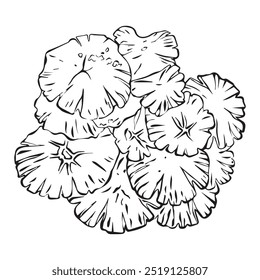 Vector linear illustration of mushroom caps. Many mushrooms top view in linear style.