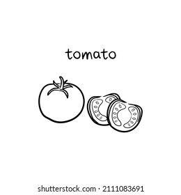 Vector linear illustration with ripe tomato. Sliced tomato. Tomato icon for print and web. Ingredients for pizza, salad, sauces. Hand lettering "tomato". Organic vegetarian product.