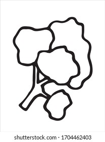 Vector linear illustration of salad grass isolated on a white background.