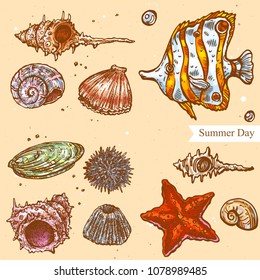 Vector linear illustration of sea shells, fish isolated on paper background with abstract texture. Hand drawn sketch in retro style of summer shell on beach. Image in vintage style for design.