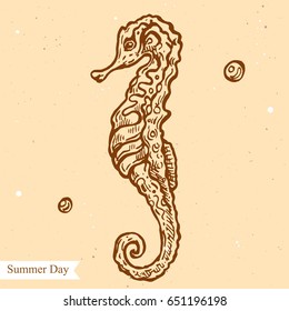 Vector linear illustration of seahorse on summer beach isolated on paper background with abstract texture. Hand drawn sketch in retro style of the seahorse. Image in vintage style for design.