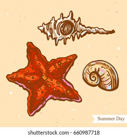Vector linear illustration of seashell, starfish isolated on paper background with abstract texture. Hand drawn color sketch in retro style of starfish on the beach. Image in vintage style for design.
