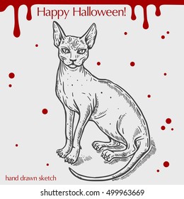 Vector linear illustration of the skinny cat with blood stains,spots,drops and text Happy Halloween on the grey background. Hand drawn sketch of the sitting sphinx cat.