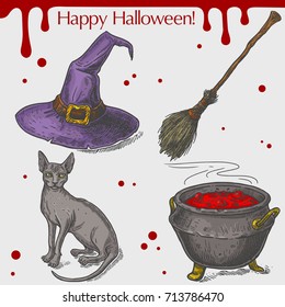 Vector linear illustration of the skinny cat, witch hat, broom, pot with potion,blood stains,spots,drops and text Happy Halloween on the grey background. Hand drawn sketch of the Halloween objects.