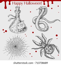 Vector linear illustration of the snake, poison, spider, spider web with blood stains,spots,drops and text Happy Halloween on the grey background. Hand drawn sketch of the set with Halloween objects.