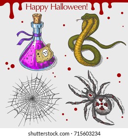 Vector linear illustration of the snake, poison, spider, spider web with blood stains,spots,drops and text Happy Halloween on the grey background. Hand drawn sketch of the set with Halloween objects.