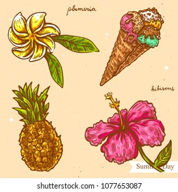 Vector linear illustration of summer flower, plumeria, pineapple, hibiscus, ice cream isolated on background with abstract texture. Hand drawn sketch. Image in vintage style for design.