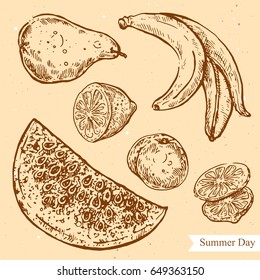 Vector linear illustration of summer fruits isolated on paper background with abstract texture. Hand drawn sketch in retro style of tasty fruits. Image in vintage style for design.