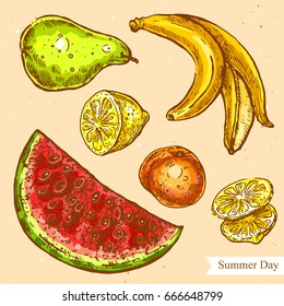 Vector linear illustration of summer fruits isolated on paper background with abstract texture. Hand drawn color sketch in retro style of tasty fruits. Image in vintage style for design.