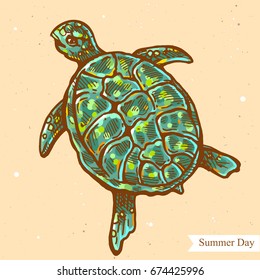 Vector linear illustration of turtle isolated on paper background with abstract texture. Hand drawn color sketch in retro style of turtle in the sea. Image in vintage style for design.