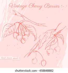 Vector linear illustration in vintage style of cherry berries on the branch with leaves. Hand drawn sketch of the cherry on the pink textured paper background.