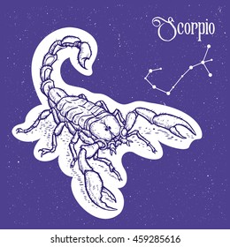 Vector linear illustration of the zodiac sign scorpio, constellation, symbol from stars at the sky background. Vector hand drawn sketch of the scorpion. Image for calendar, horoscope.