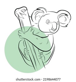 Vector linear image of a koala.