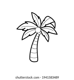 Vector linear image of palm tree with coconuts for vacation or travel and trip to the sea for black and white print on postcards and items