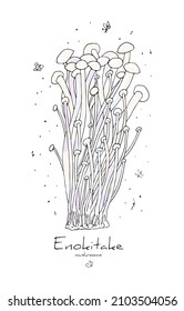 Vector Linear Isolated Illustration With A Mycelium Of Enokitake Mushrooms. The Concept Of Asian Cuisine, Food. You Can Use The Element In Web Design, Packaging Design, Banners, Etc.