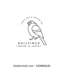 Vector linear logo design bullfinch on white background. Bullfinch emblems or badges